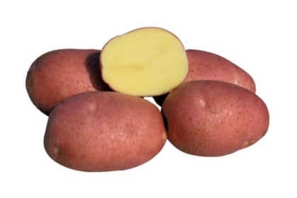 Krumpir sjemenski Laura - 28-35 5 kg