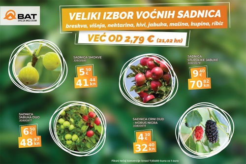 Veliki izbor sadnica voća na Odjelu vrta