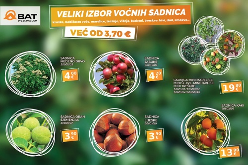 Veliki izbor sadnica voća na Odjelu vrta