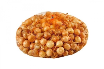 Lučica luka Stuttgarter - 1 kg 14/21 mm